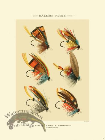 Favorite Flies 03 Salmon